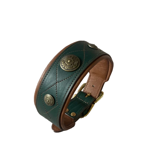 Collar V-15